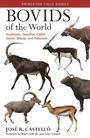 Cover: Bovids of the World - Princeton University Press