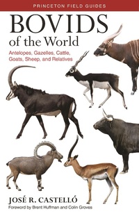 Enlarge image Cover: Bovids of the World - Princeton University Press