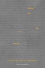 Cover: Making Sense out of Meaning - De Gruyter
