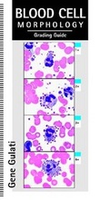 Cover: Blood Cell Morphology Grading Guide - American Society of Clinical Pathologists Press