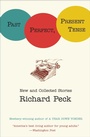 Cover: Past Perfect, Present Tense - Puffin Books
