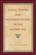 Cover: Social Theory and Regional Studies in the Global Age - State University of New York Press