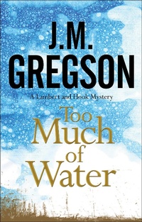 Enlarge image Cover: Too Much of Water - Severn House