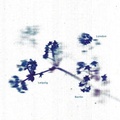 Cover: Untitled (London Leipzig Berlin) - EUPHORIUM