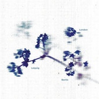 Enlarge image Cover: Untitled (London Leipzig Berlin) - EUPHORIUM