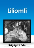 Cover: Liliomfi - Content 2 Connect