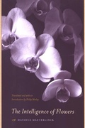 Cover: The Intelligence of Flowers - State University of New York Press