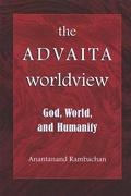 Cover: The Advaita Worldview - De Gruyter