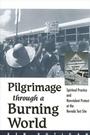 Cover: Pilgrimage through a Burning World - De Gruyter