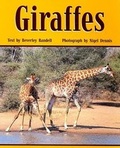 Cover: Giraffes - Rigby