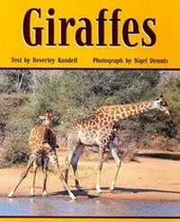 Enlarge image Cover: Giraffes - Rigby