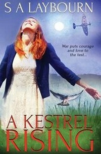 Enlarge image Cover: A Kestrel Rising - Totally Bound Publishing