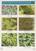 Cover: Guide to Mosses and Liverworts of Woodlands - Field Studies Council