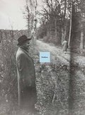 Cover: Nachlass - peperoni books