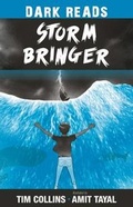 Cover: Storm Bringer - Badger Publishing