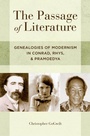 Cover: The Passage of Literature - OUP eBook