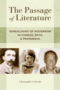 Cover: The Passage of Literature - OUP eBook