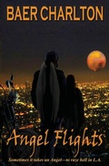 Cover: Angel Flights - Mordant Media
