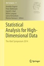 Cover: Statistical Analysis for High-Dimensional Data - Springer