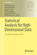 Cover: Statistical Analysis for High-Dimensional Data - Springer