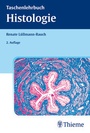 Bild: Histologie - Thieme