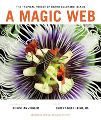 Enlarge image Cover: A Magic Web - Smithsonian Institution Scholarly Press
