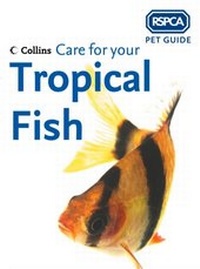 Abbildung von: Care for your Tropical Fish - Collins