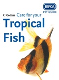 Cover: Care for your Tropical Fish - Collins