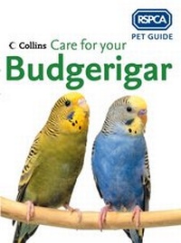 Abbildung von: Care for your Budgerigar - Collins