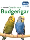 Cover: Care for your Budgerigar - Collins