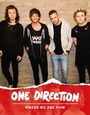 Cover: One Direction: Where We Are Now - HarperCollins
