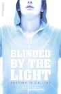 Cover: Blinded By The Light - CollinsFlamingo
