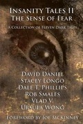 Cover: Insanity Tales II - Books & Boos Press