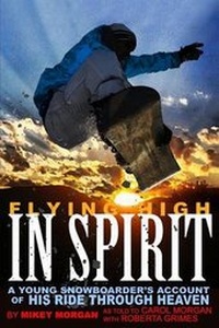 Enlarge image Cover: Flying High in Spirit - Christine F. Anderson Publishing & Media