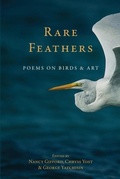 Cover: Rare Feather - Gunpowder Press