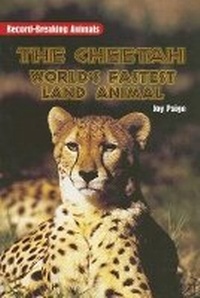 Enlarge image Cover: The Cheetah - Rigby