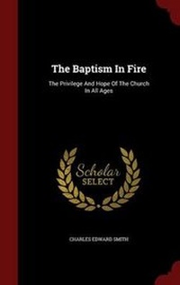 Enlarge image Cover: The Baptism in Fire - Andesite Press