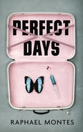Cover: Perfect Days - Vintage Digital