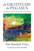 Cover: In Gratitude to Pegasus - Moshpit Publishing