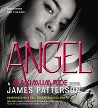 Enlarge image Cover: Angel - Hachette Book Group