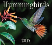 Enlarge image Cover: Hummingbirds 2017 - Firefly Books Ltd