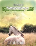 Cover: An einem Sommermorgen - BookRix