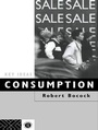 Cover: Consumption - Routledge
