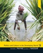 Cover: Politics and Culture in the Developing World - Routledge