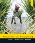 Cover: Politics and Culture in the Developing World - Routledge