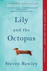 Enlarge image Cover: Lily and the Octopus - Simon + Schuster LLC