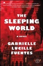 Cover: The Sleeping World - Touchstone Books;Atria Books