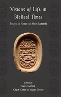 Cover: Visions of Life in Biblical Times - Sheffield Phoenix Press Ltd