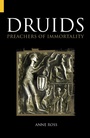 Cover: Druids - The History Press Ltd