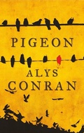 Cover: Pigeon - Parthian Books
